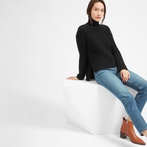 Everlane The Wool Cashmere-Rib Turtleneck